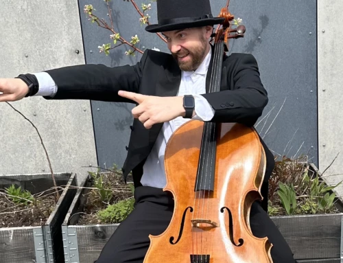 Werners fugleøye-cello