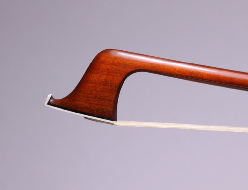 Cellobue, Thomas Giquet, 2024