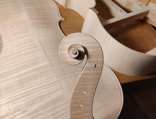 Cello, pers. modell Vik Vandamme – Roeselare 2025