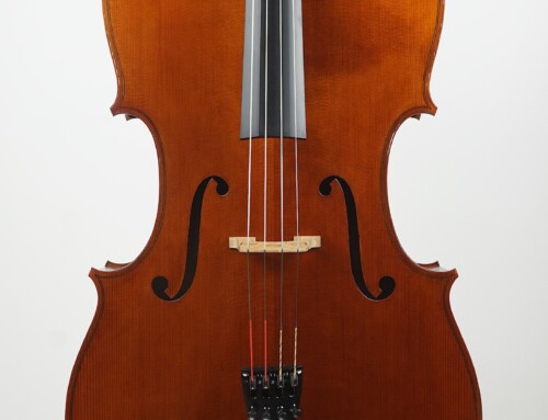 Cello, personlig modell Vik Vandamme – Roeselare 2025