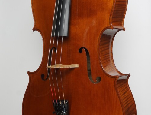 Cello, personlig modell Vik Vandamme – Roeselare 2025