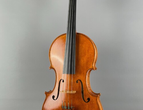 Fiolin, Ilze de Ligt – Antwerpen 2025