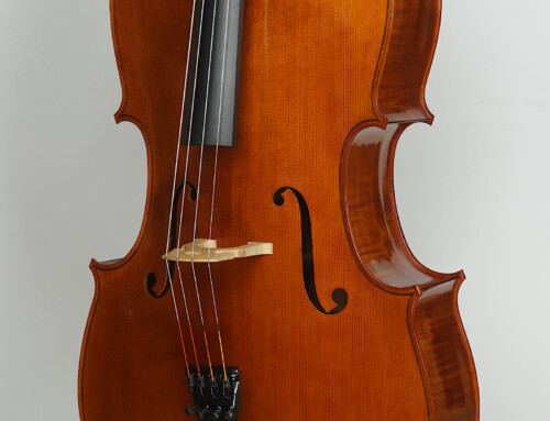 Cello, Vik Vandamme Roeselare 2025 – von der Lippe modell