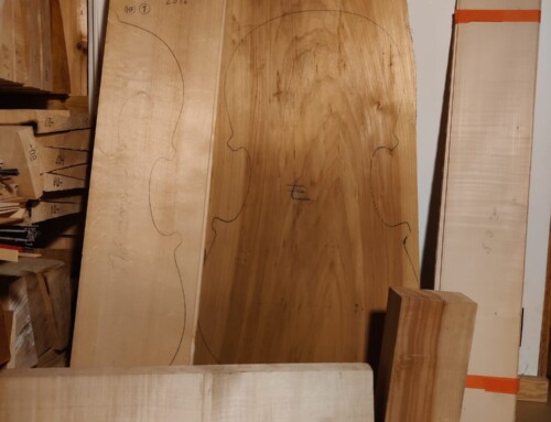 Cello, Vik Vandamme Roeselare 2026 – von der Lippe modell