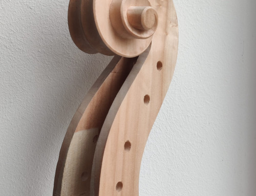 Cello, Vik Vandamme Roeselare 2026 – von der Lippe model