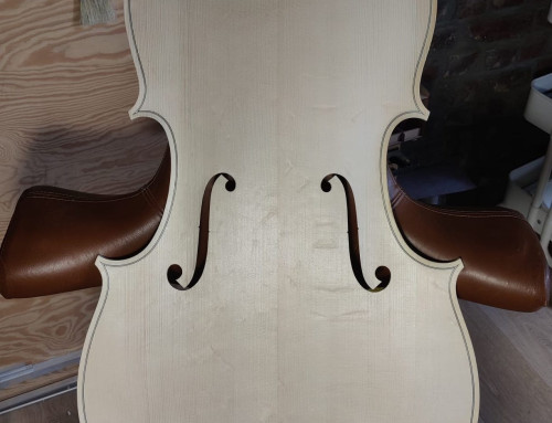 Cello, Vik Vandamme Roeselare 2026 – von der Lippe model